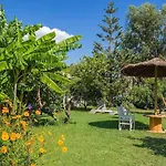 Stavlos Daire Vasiliki