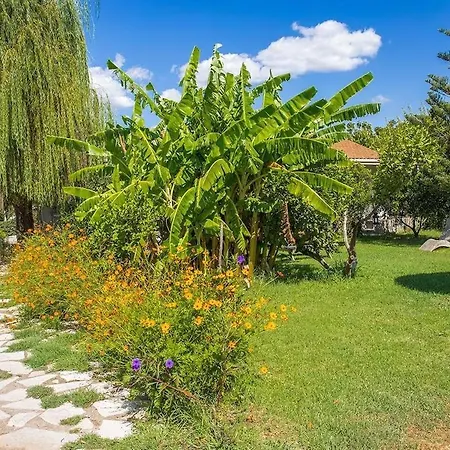 Stavlos Vasiliki