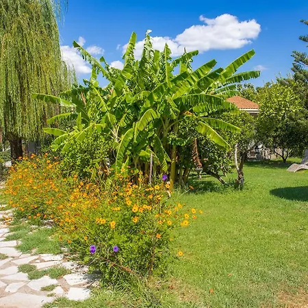 Stavlos Vasiliki